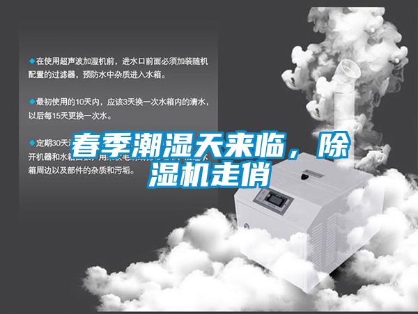 春季潮濕天來(lái)臨，除濕機(jī)走俏