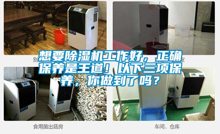 想要除濕機(jī)工作好，正確保養(yǎng)是王道！以下三項(xiàng)保養(yǎng)，你做到了嗎？