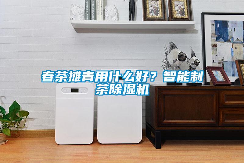 春茶攤青用什么好？智能制茶除濕機(jī)