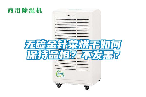 無硫金針菜烘干如何保持品相？不發(fā)黑？