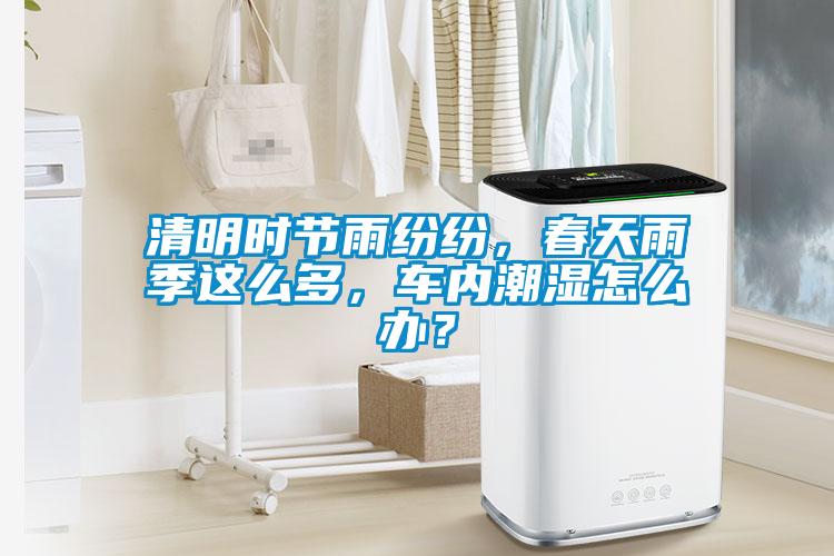 清明時(shí)節(jié)雨紛紛，春天雨季這么多，車內(nèi)潮濕怎么辦？