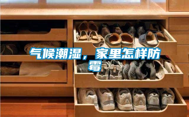 氣候潮濕，家里怎樣防霉