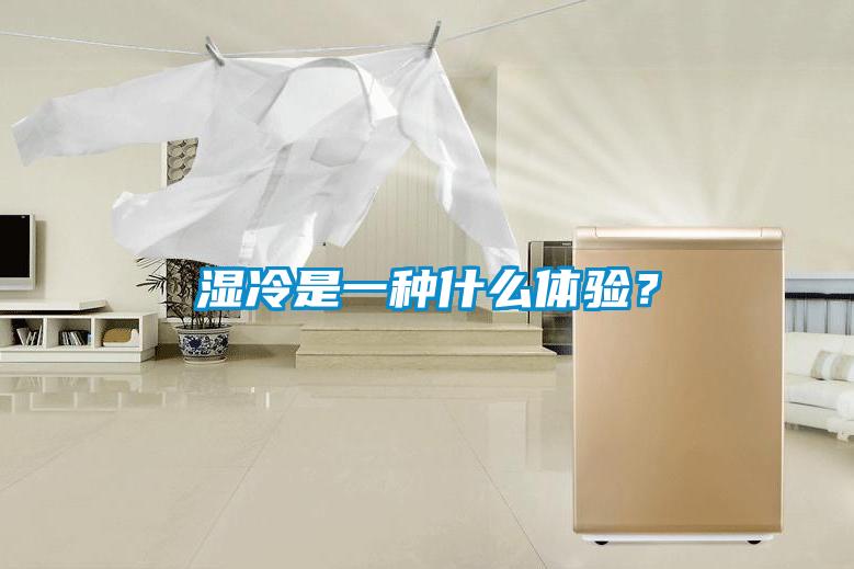 濕冷是一種什么體驗(yàn)？