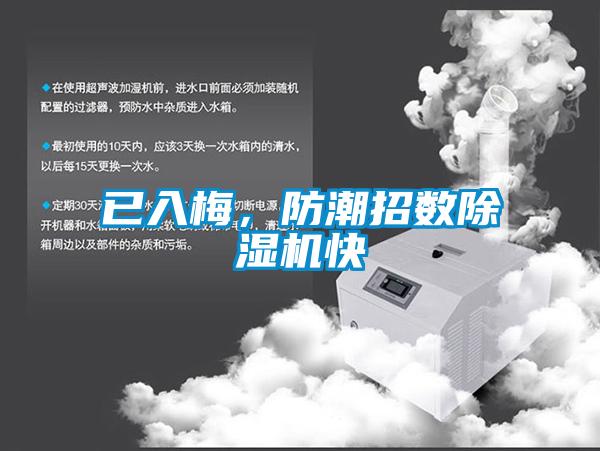 已入梅，防潮招數(shù)除濕機快