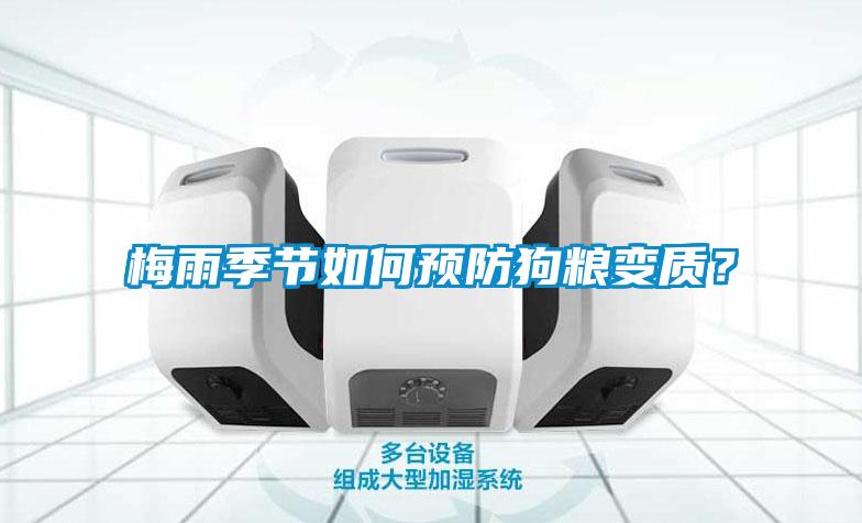 梅雨季節(jié)如何預(yù)防狗糧變質(zhì)？