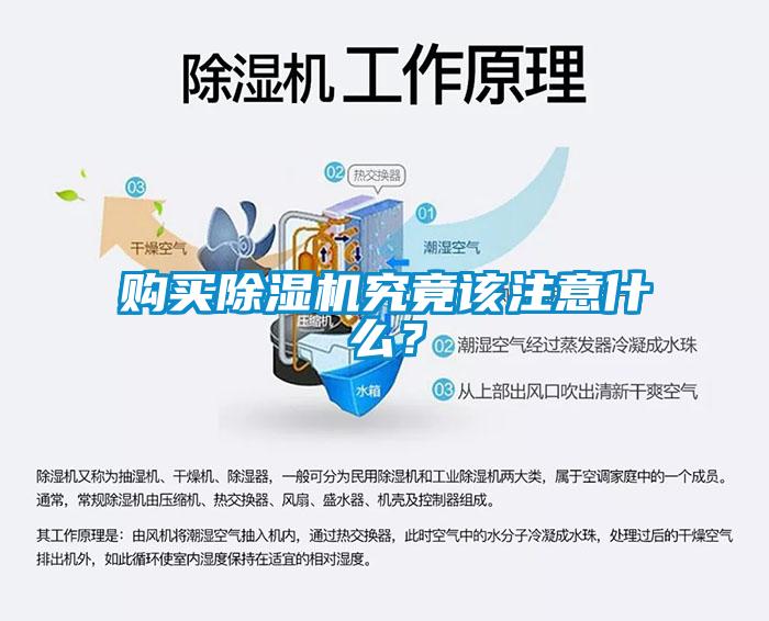 購(gòu)買除濕機(jī)究竟該注意什么？