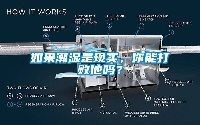 如果潮濕是現(xiàn)實，你能打敗他嗎？