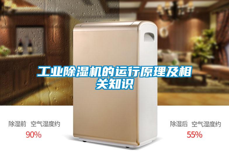工業(yè)除濕機(jī)的運(yùn)行原理及相關(guān)知識