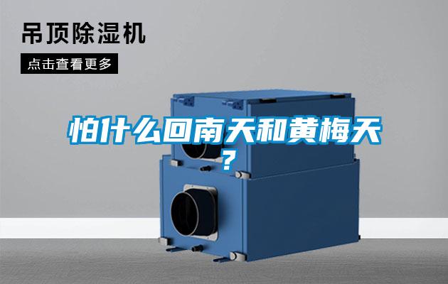 怕什么回南天和黃梅天？