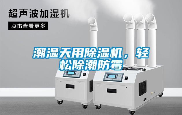 潮濕天用除濕機，輕松除潮防霉