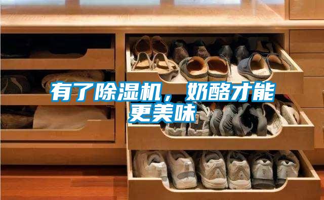 有了除濕機(jī)，奶酪才能更美味