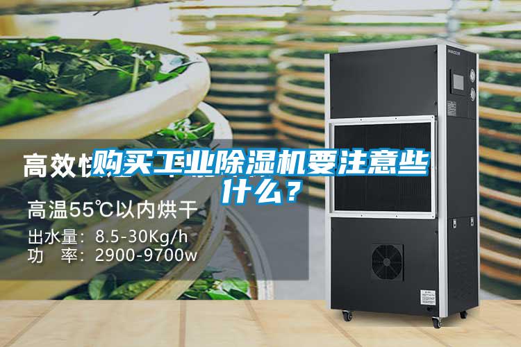 購(gòu)買工業(yè)除濕機(jī)要注意些什么？