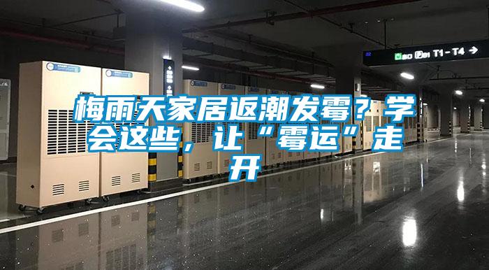 梅雨天家居返潮發(fā)霉？學(xué)會這些，讓“霉運”走開