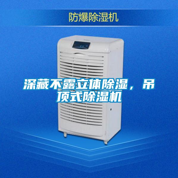 深藏不露立體除濕，吊頂式除濕機(jī)