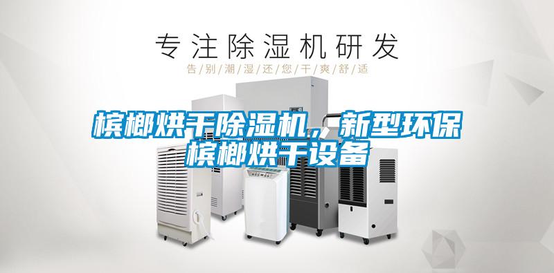 檳榔烘干除濕機，新型環(huán)保檳榔烘干設(shè)備