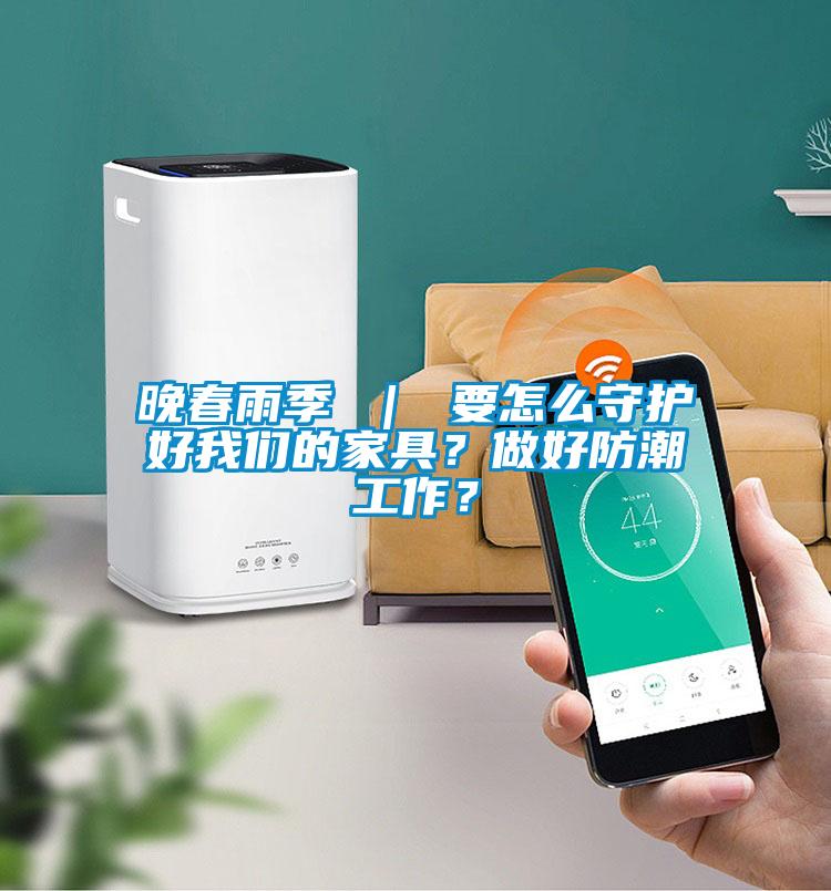 晚春雨季 ｜ 要怎么守護好我們的家具？做好防潮工作？