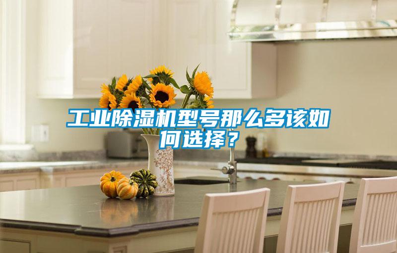 工業(yè)除濕機(jī)型號那么多該如何選擇？