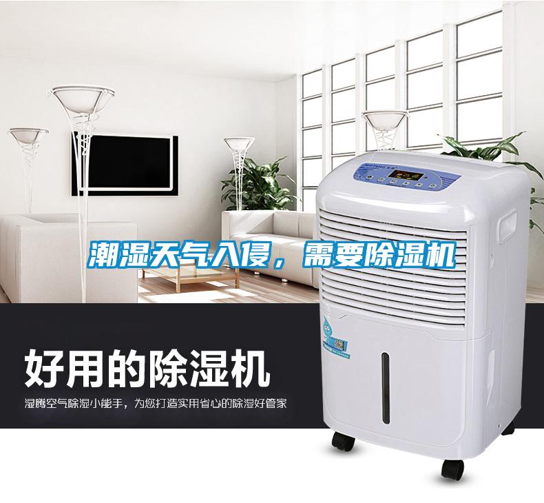 潮濕天氣入侵，需要除濕機