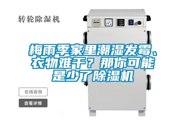 梅雨季家里潮濕發(fā)霉、衣物難干？那你可能是少了除濕機