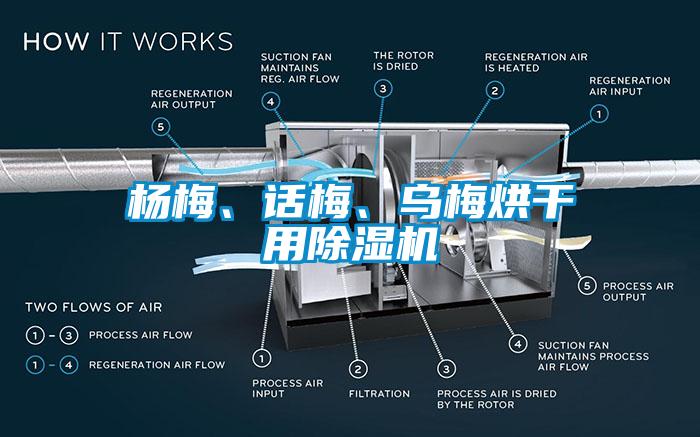 楊梅、話梅、烏梅烘干用除濕機