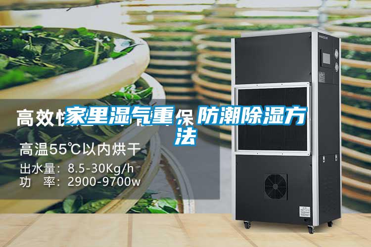 家里濕氣重，防潮除濕方法