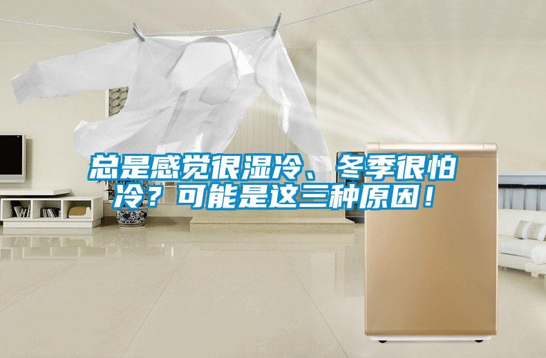 總是感覺很濕冷、冬季很怕冷？可能是這三種原因！