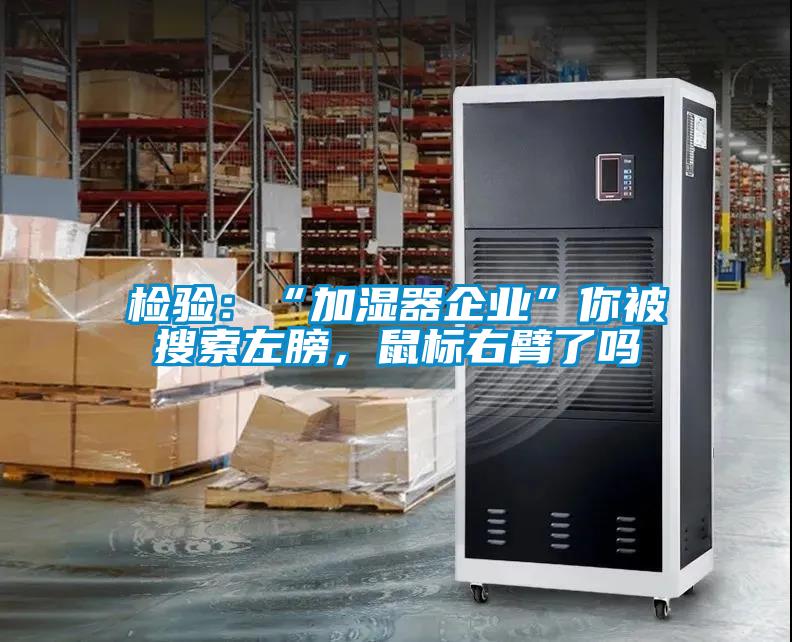 檢驗：“加濕器企業(yè)”你被搜索左膀，鼠標右臂了嗎
