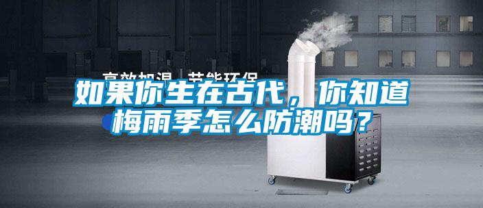 如果你生在古代，你知道梅雨季怎么防潮嗎？