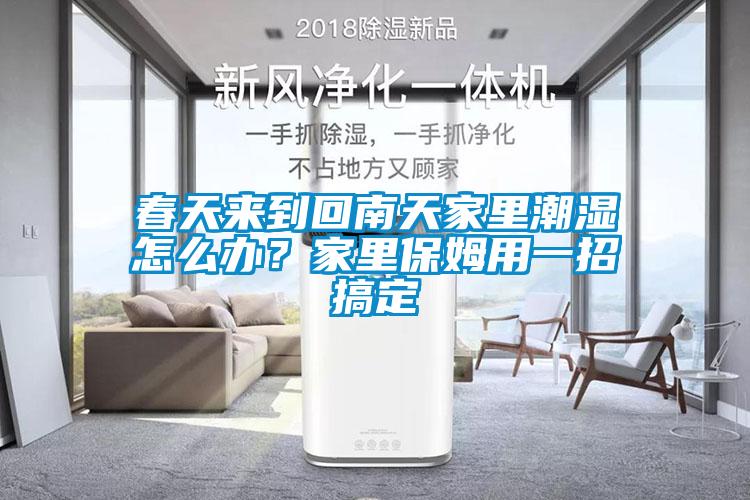 春天來到回南天家里潮濕怎么辦？家里保姆用一招搞定