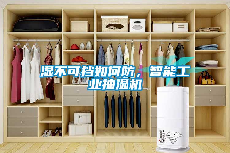 濕不可擋如何防，智能工業(yè)抽濕機(jī)