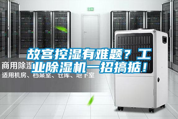 故宮控濕有難題？工業(yè)除濕機一招搞掂！