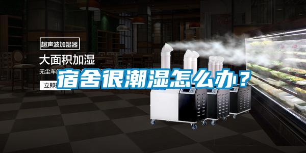 宿舍很潮濕怎么辦？