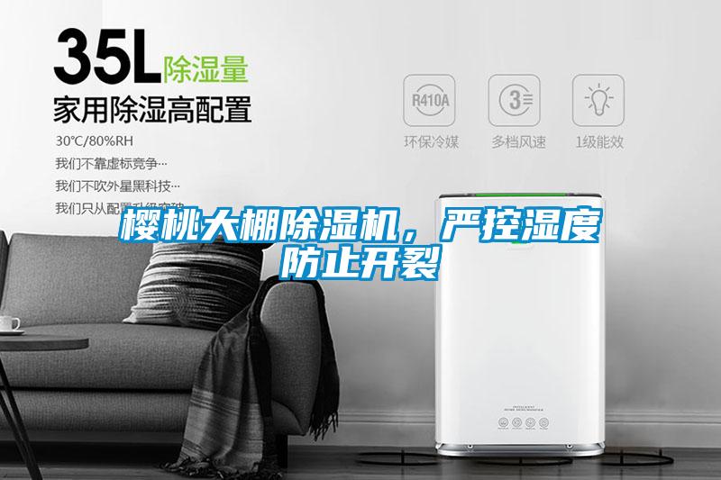 櫻桃大棚除濕機(jī)，嚴(yán)控濕度防止開裂