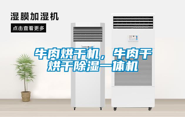牛肉烘干機，牛肉干烘干除濕一體機