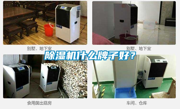 除濕機(jī)什么牌子好？