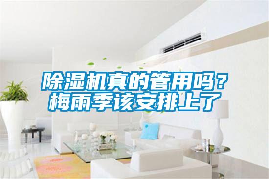 除濕機(jī)真的管用嗎？梅雨季該安排上了