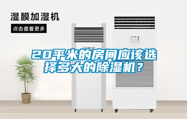 20平米的房間應(yīng)該選擇多大的除濕機(jī)？
