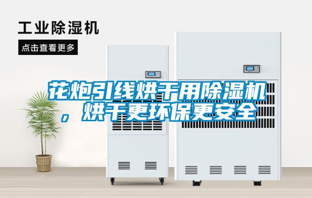 花炮引線烘干用除濕機(jī)，烘干更環(huán)保更安全