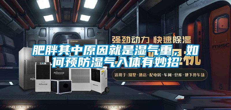 肥胖其中原因就是濕氣重，如何預(yù)防濕氣入體有妙招