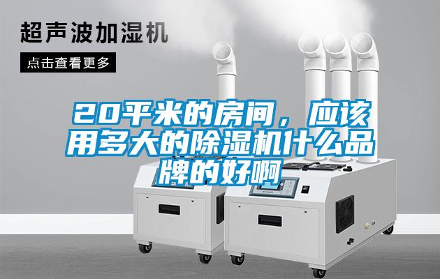 20平米的房間，應(yīng)該用多大的除濕機(jī)什么品牌的好啊