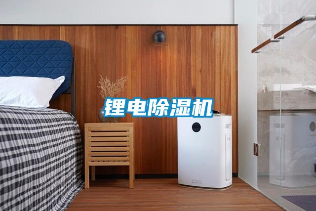 鋰電除濕機(jī)