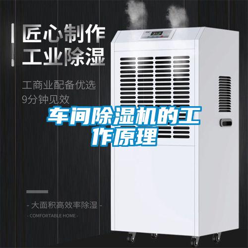 車(chē)間除濕機(jī)的工作原理
