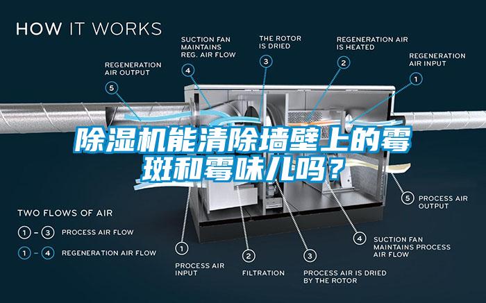 除濕機(jī)能清除墻壁上的霉斑和霉味兒嗎？