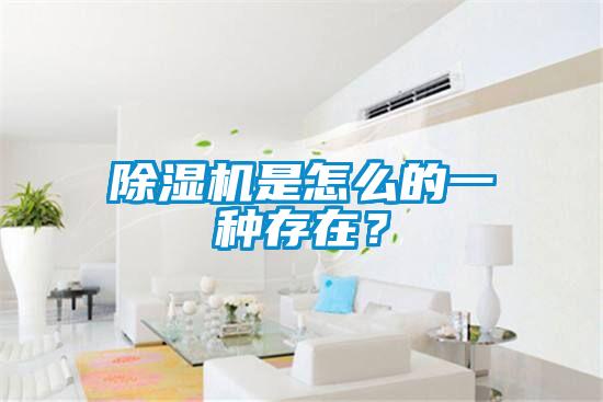 除濕機是怎么的一種存在？