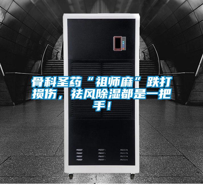 骨科圣藥“祖師麻”跌打損傷，祛風(fēng)除濕都是一把手！