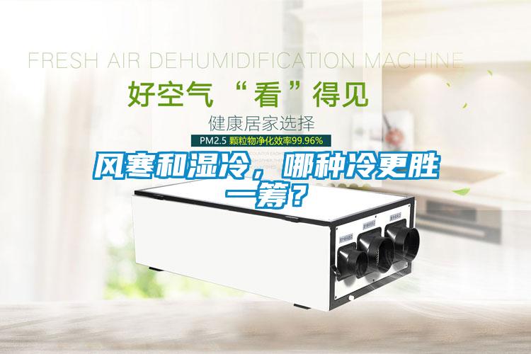 風(fēng)寒和濕冷，哪種冷更勝一籌？