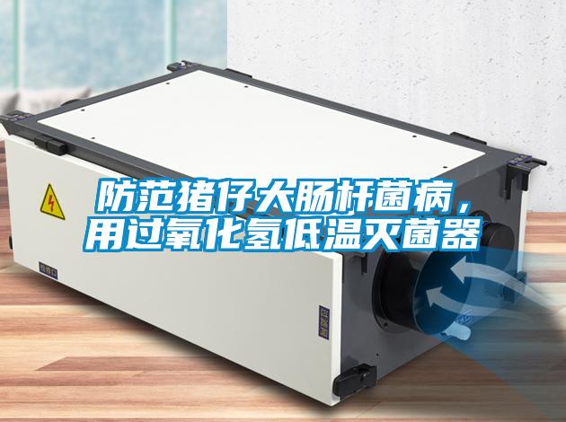 防范豬仔大腸桿菌病，用過氧化氫低溫滅菌器