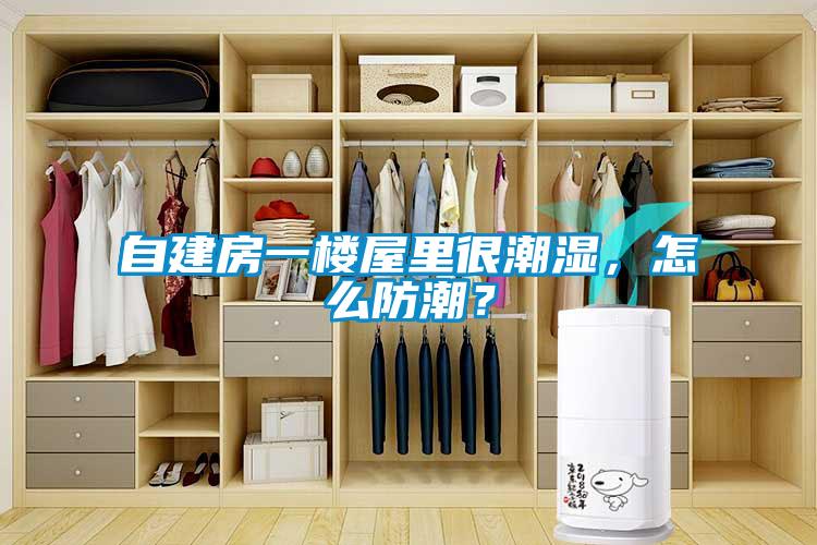 自建房一樓屋里很潮濕，怎么防潮？