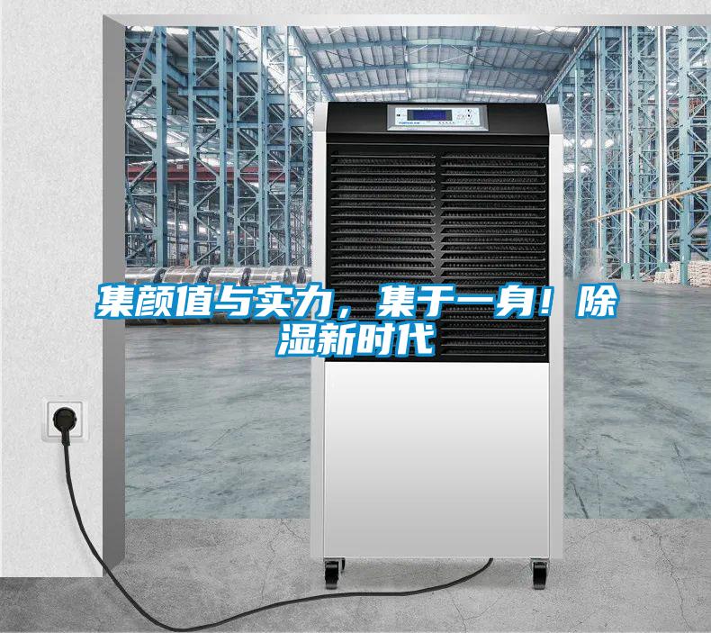 集顏值與實(shí)力，集于一身！除濕新時代