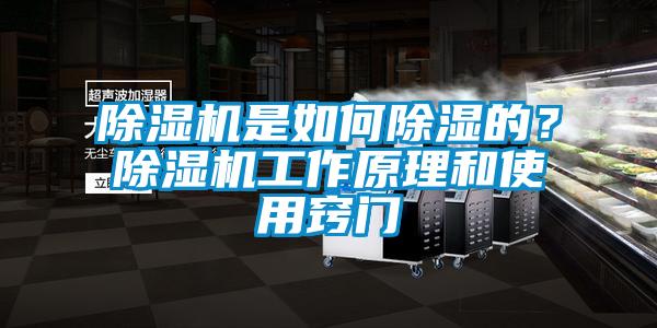 除濕機是如何除濕的？除濕機工作原理和使用竅門